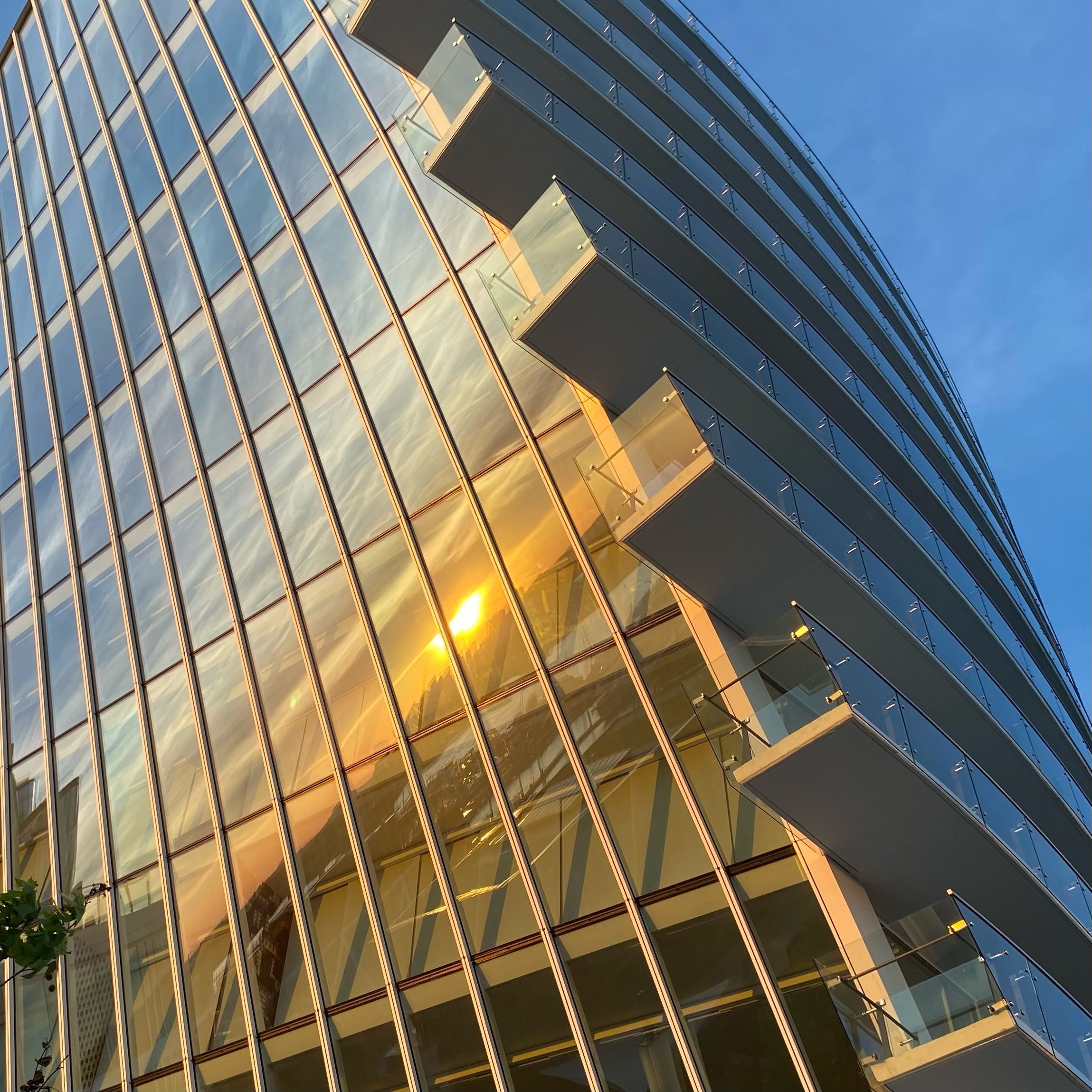 A curved grid of windows from a building reflecting a sunset.