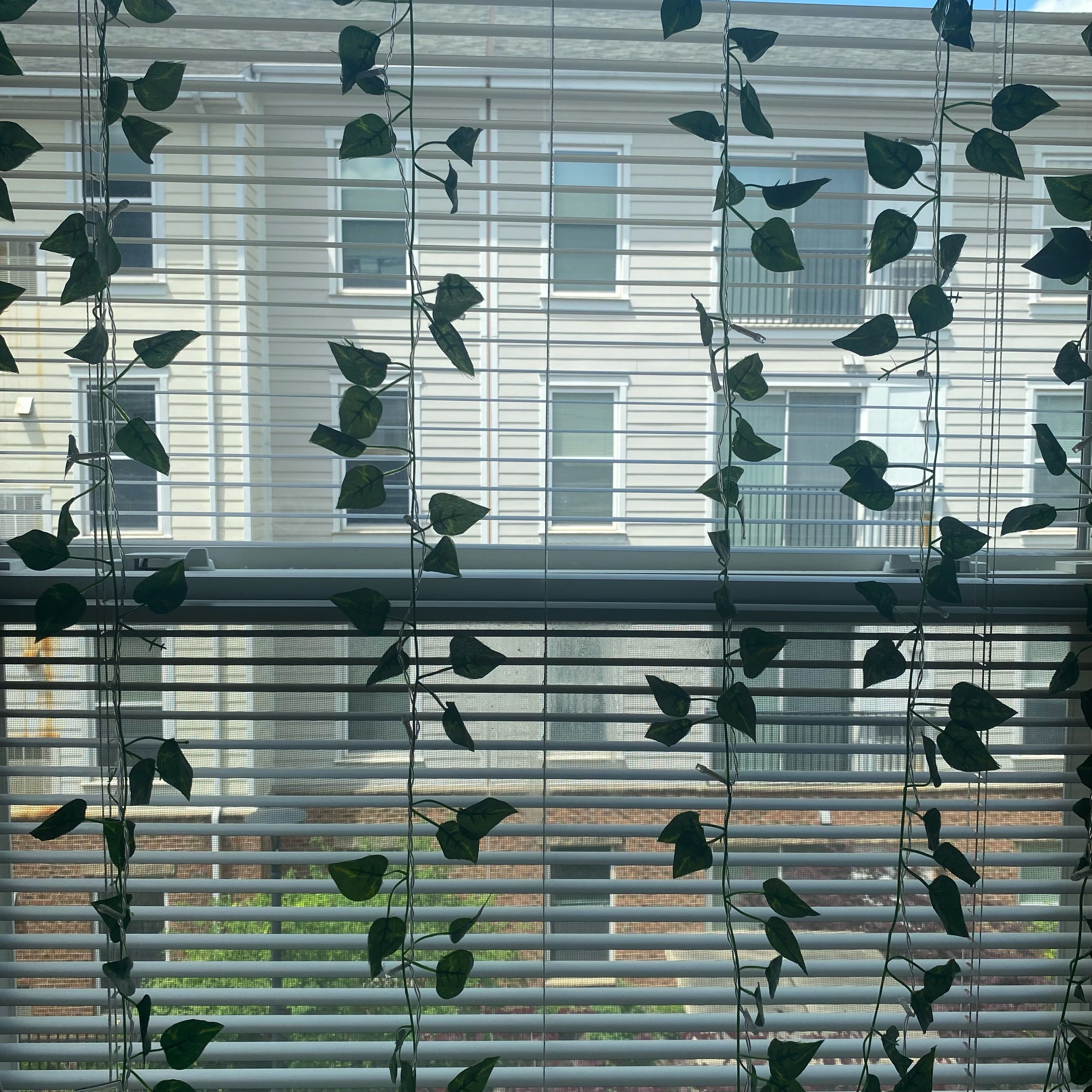 A window with a view of a white building with several rows of windows. The window is covered with blinds and plant leaves.