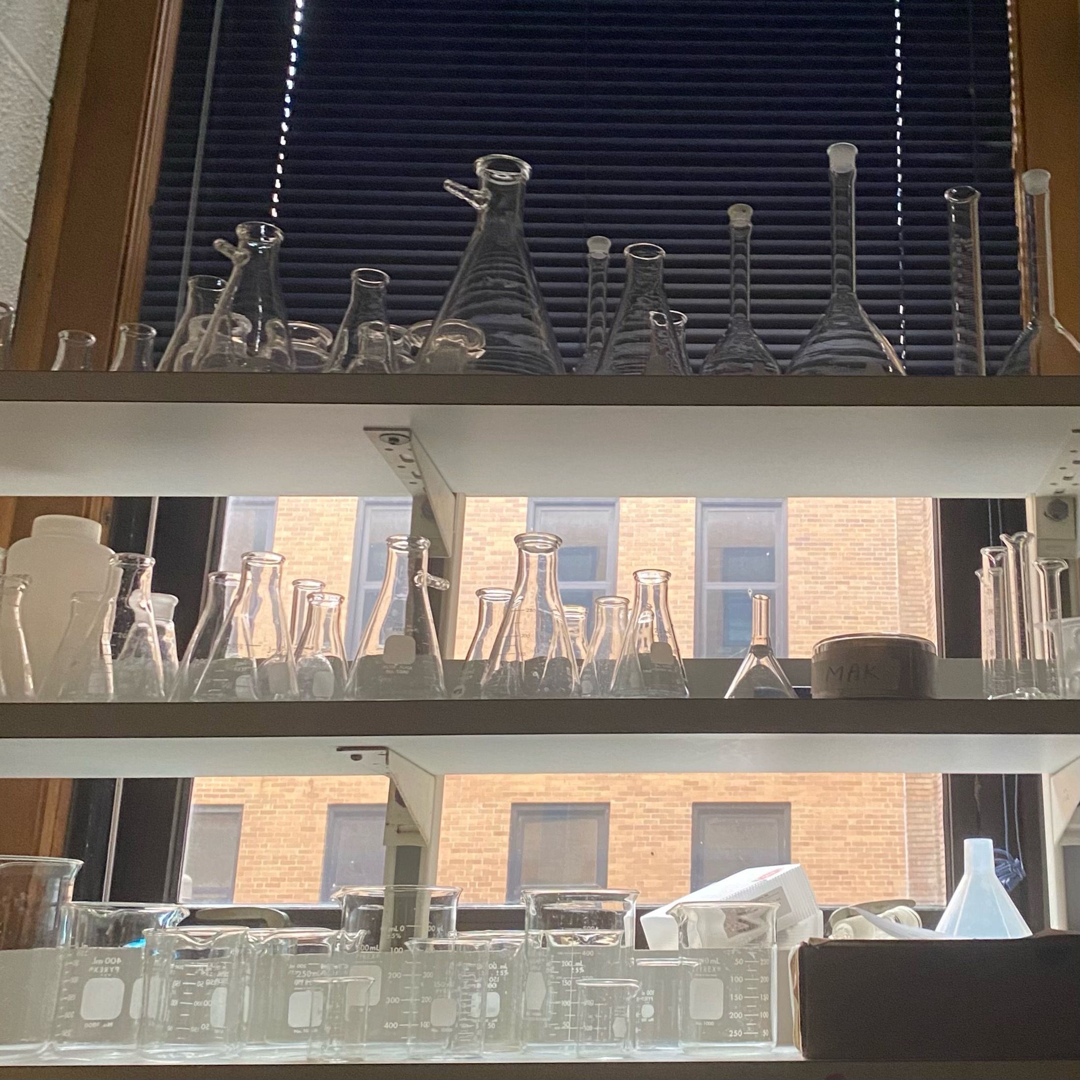 A window with a shelf of flasks and beakers in front of it. The window is half covered by blinds and has a view of 8 windows on a building wall.