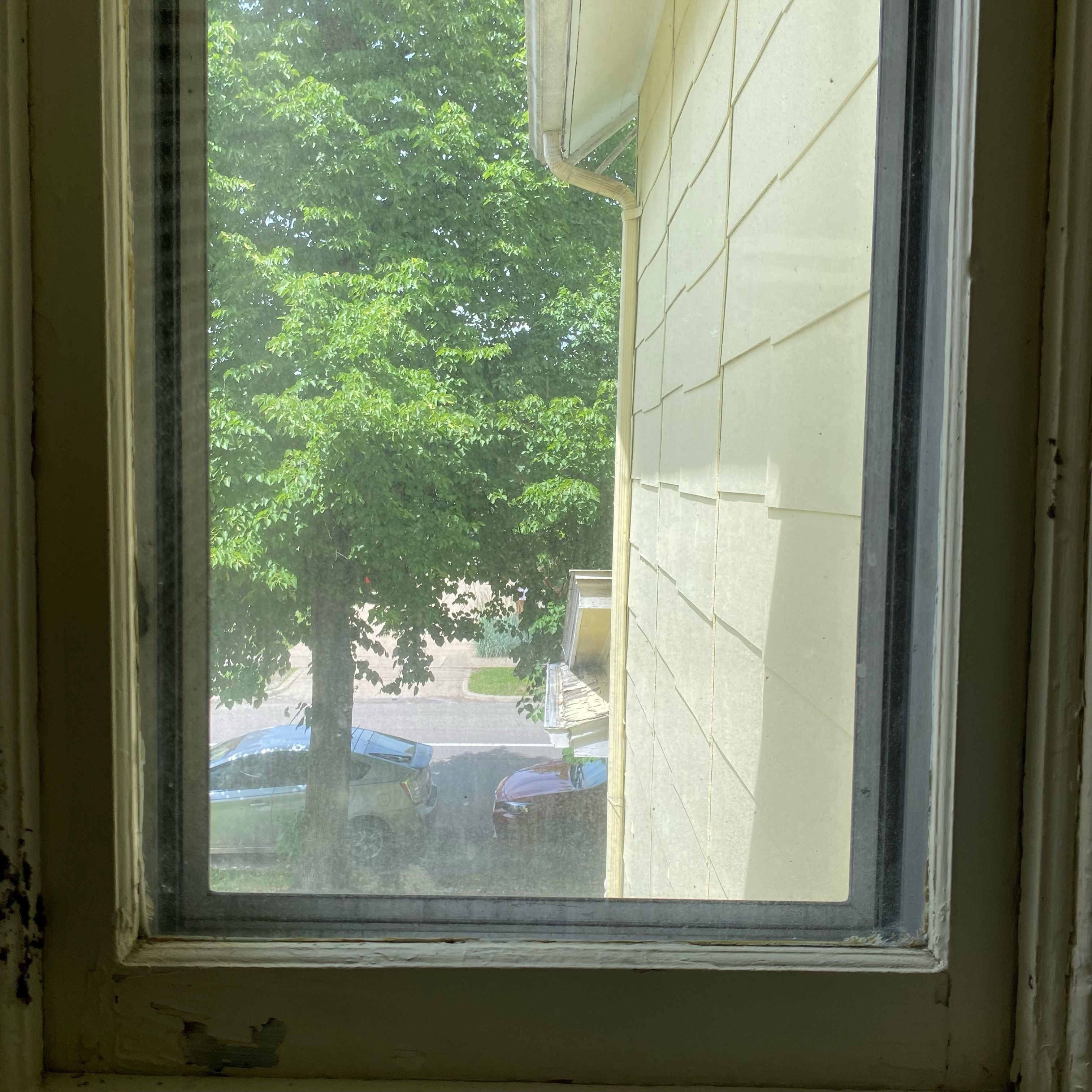 A window with a view of a building wall and a large green tree.