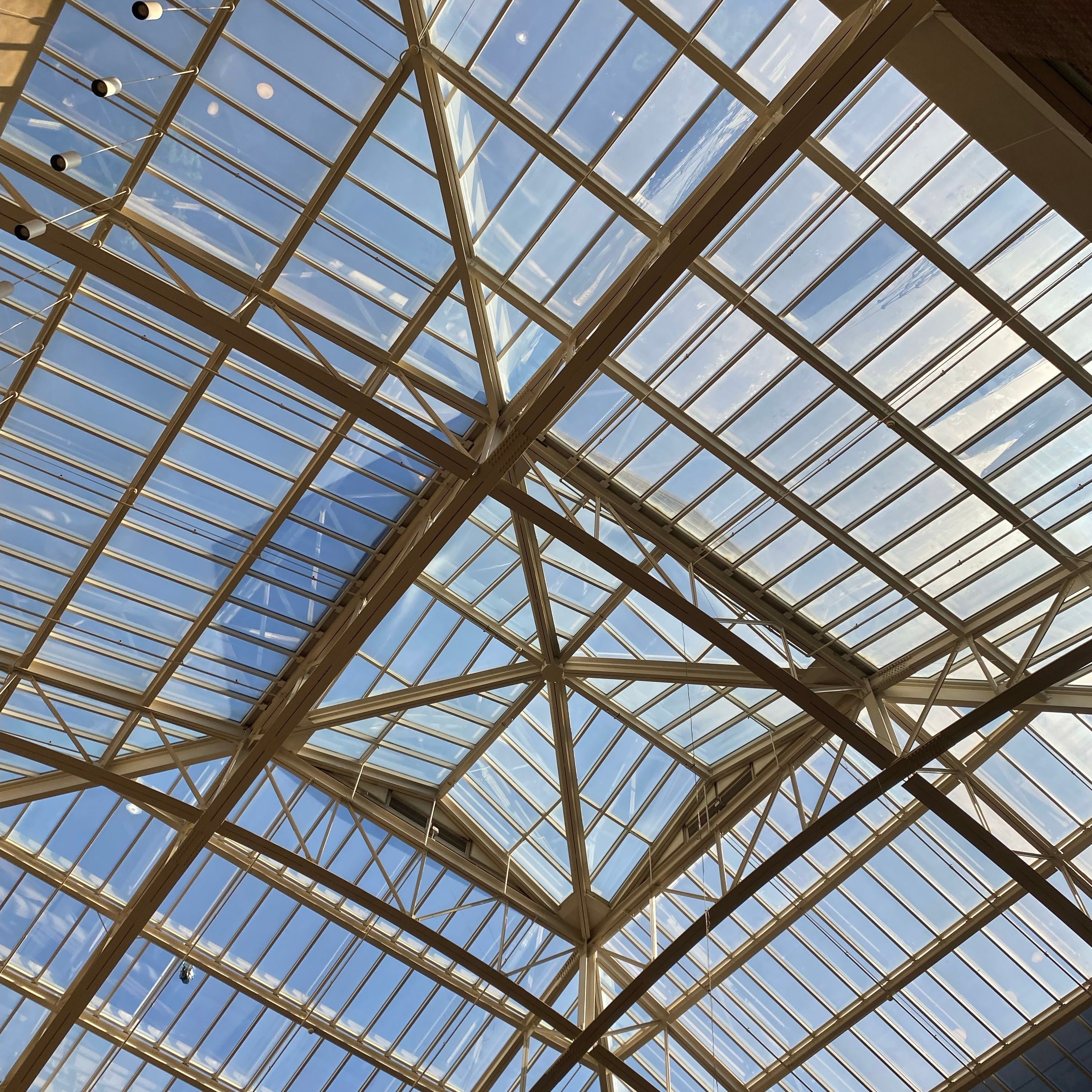 A window with several diagonal grid lines. The window has a view of the blue sky.