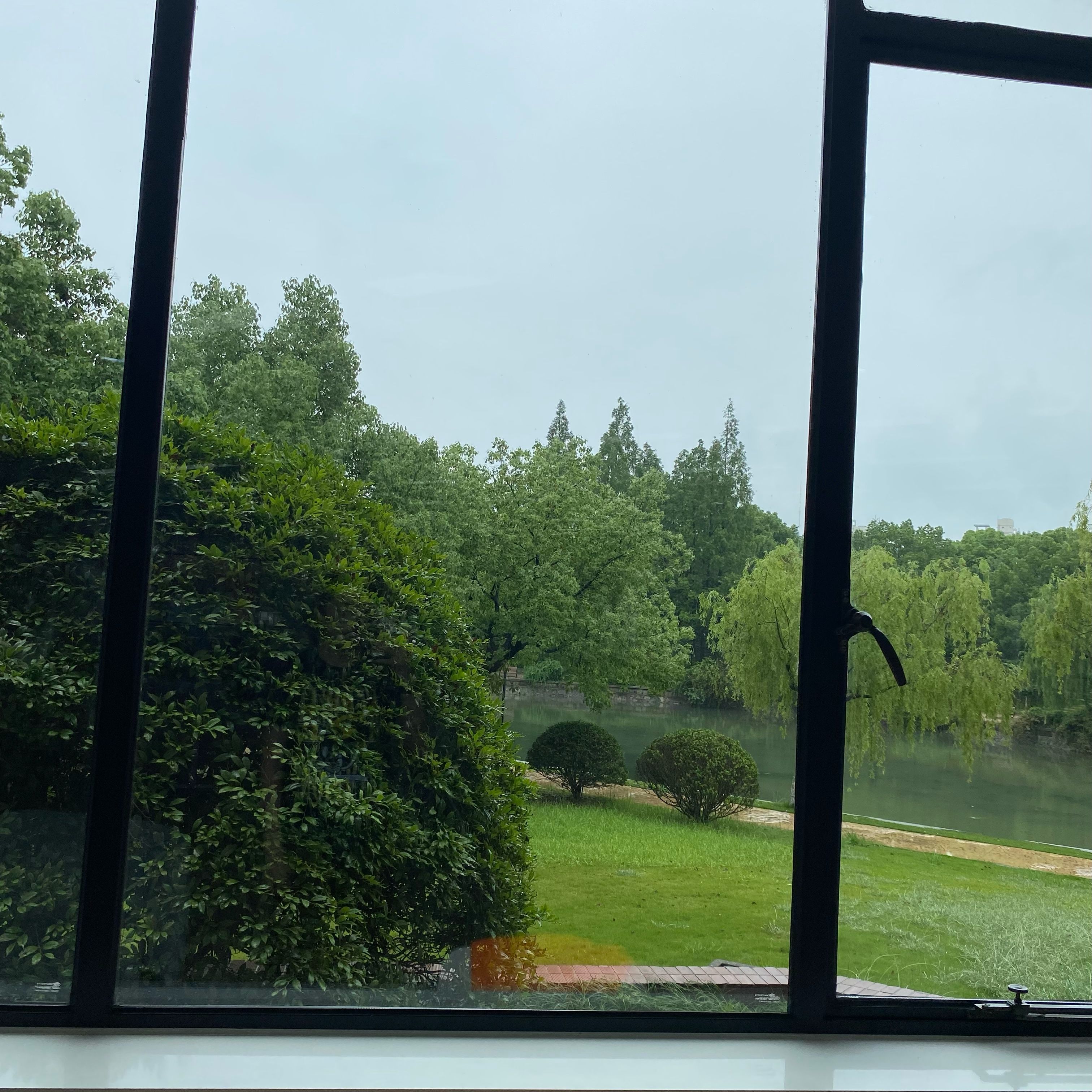 A window with a view of a forest. The sky is cloudy.