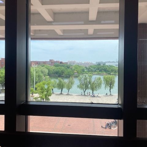 A window with a view of trees in front of a small body of water.