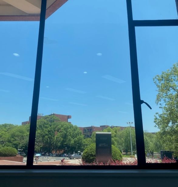 A window with a view of the blue sky and several trees.