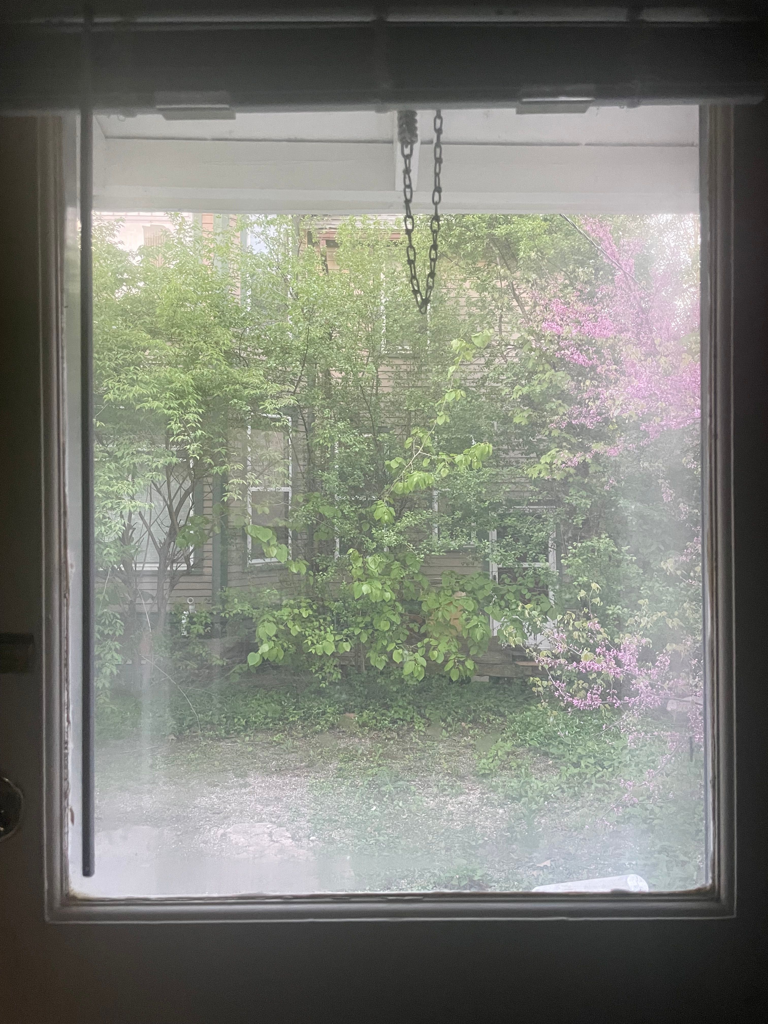 A window with a view of green trees and grass against a building. There is a tree with pink leaves to the right.