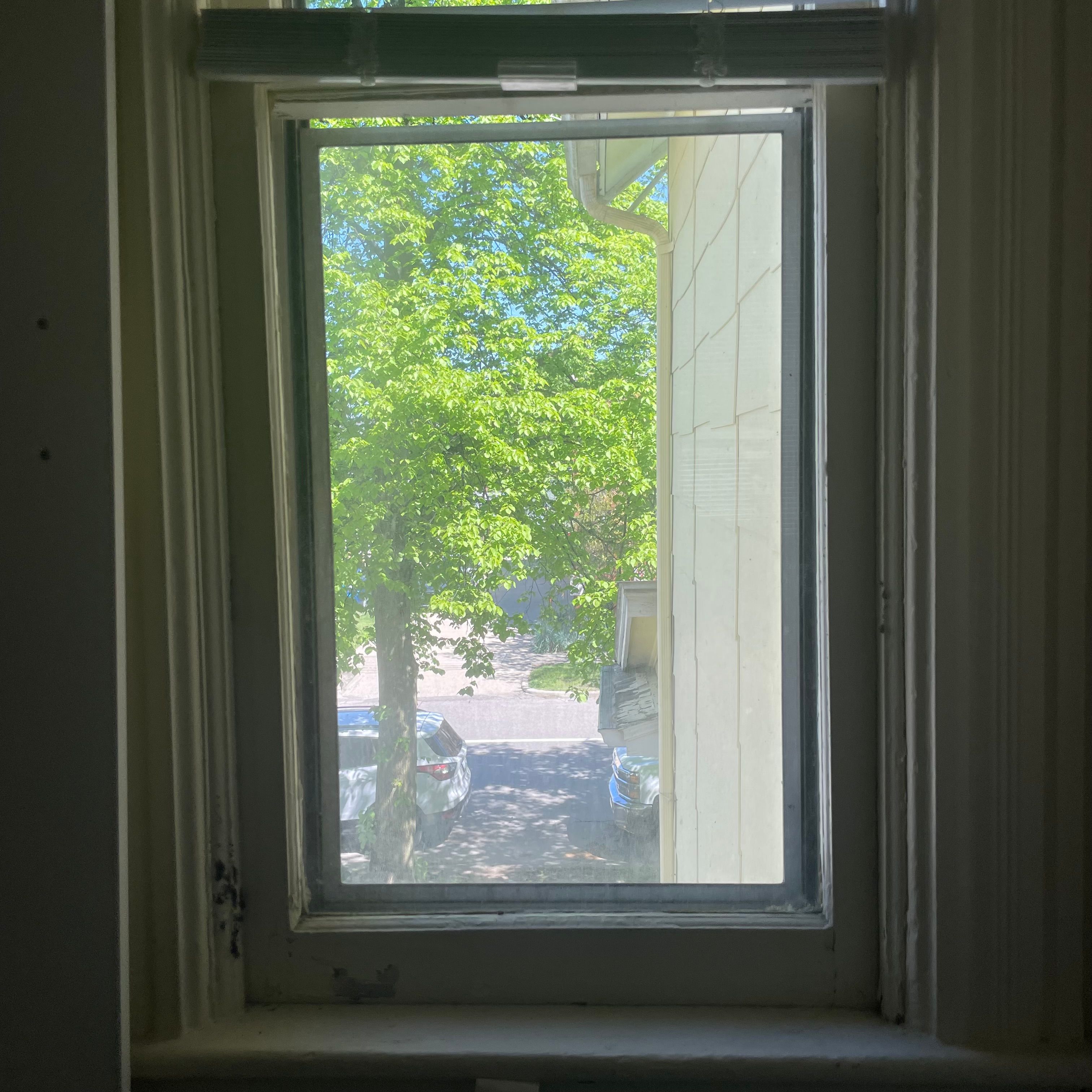 A window with a view of green trees two cars parked on a street. The white building wall is seen towards the right, with a drain pipe running down the edge.