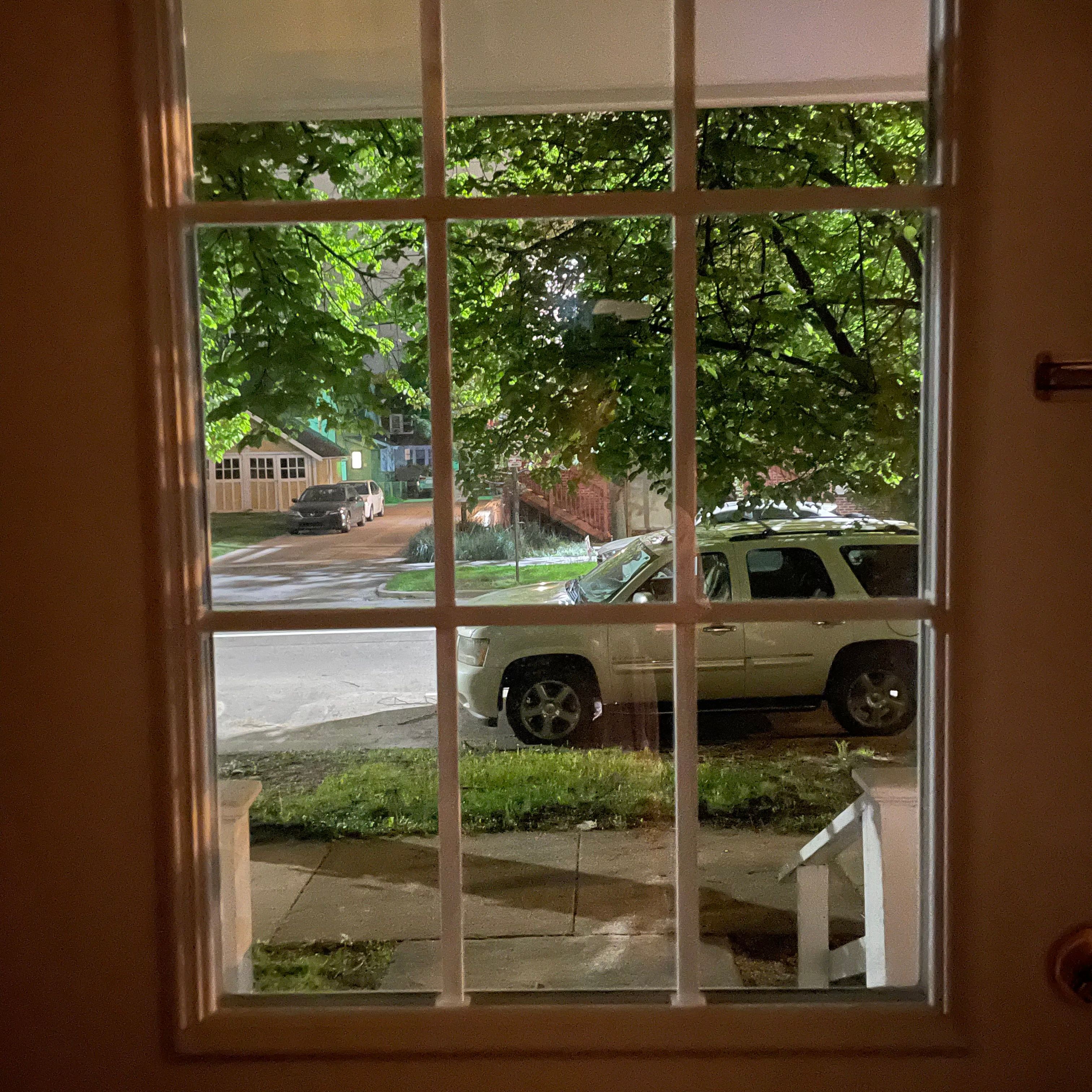 A window with a view of the a white car parked on the street, alongside grass and a tree. There is a house across the street.