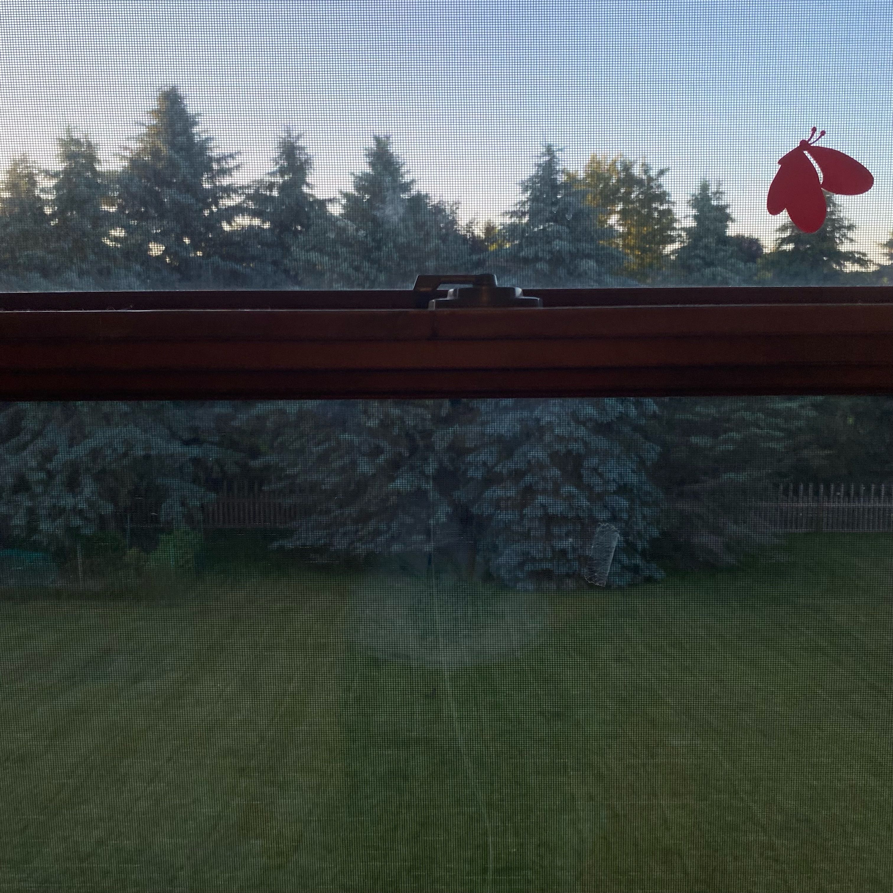 A window with a red butterfly sticker on it. The window has a view of several large trees in a field.